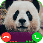 Cover Image of ดาวน์โหลด Panda Call - Fake chat Prank  APK