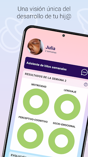 Vista previa de la aplicación