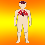 Body Parts - Internal Organs icon