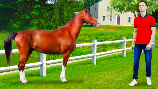 Horse Photo Editor and Frames screenshot 14