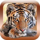 Animal Sounds Zoo for Toddlers icon