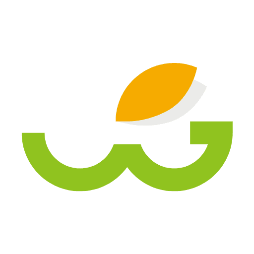 WolgokTok logo