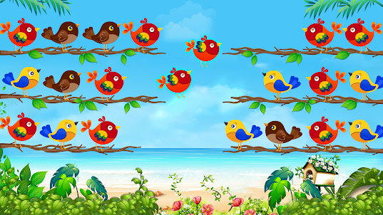 Bird Sort Puzzle : Bird Game