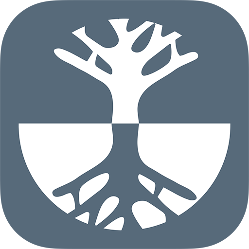 Clinica Marchetti logo