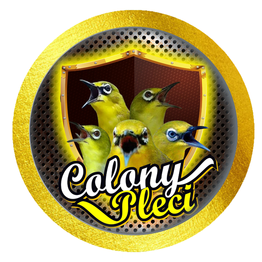 Colony Pleci (Mastering - Heal logo