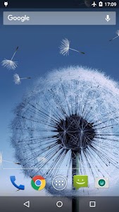 Dandelion Live Wallpaper Unknown