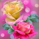 Rose Wallpaper : Flowers para PC Windows