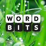 Cover Image of ดาวน์โหลด Word Bits: A Word Puzzle Game  APK