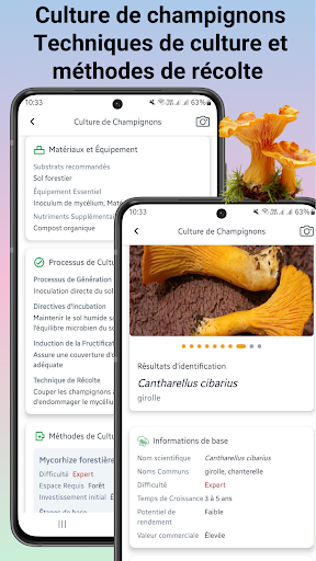 Identificateur de champignons screenshot 4