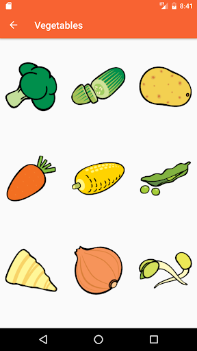 Neo Flash Cards Screen 3