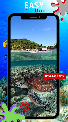 Cute Turtle Wallpaper HD