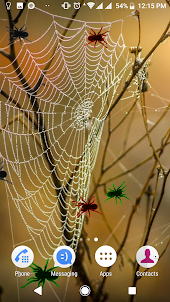 Spiders Cobweb live wallpaper