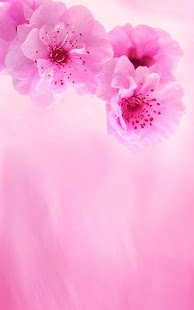 Pink Flowers Live Wallpaper Screenshot