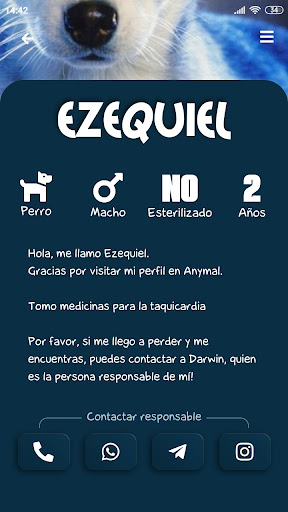 Anymal Screen 2