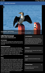 Field Guide to Gippsland Lakes