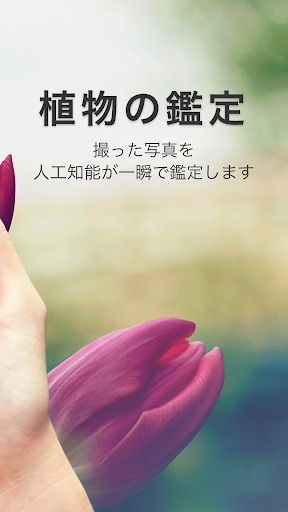 Picturethis 撮ったら 判る 1秒植物図鑑 App Store Data Revenue Download Estimates On Play Store
