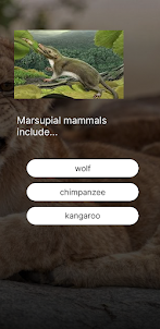 Unusual Mammals