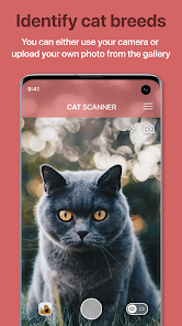 Cat Scanner: Breed Recognition – Apps On Google Play