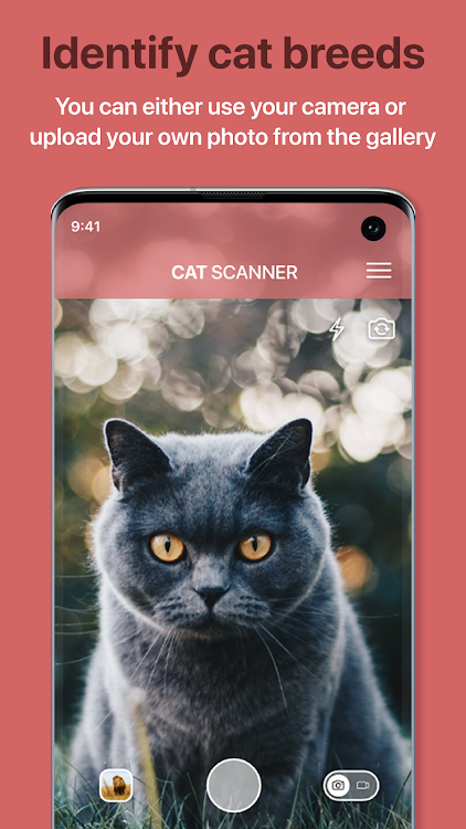 Cat Scanner: Breed Recognition - 17.2.1-G - (Android)