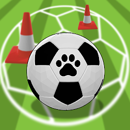 Icon image Cats Football Training