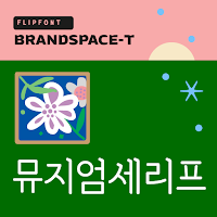 BSTMuseumSerif Korean Flipfont
