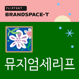 ഐക്കൺ ചിത്രം BSTMuseumSerif Korean Flipfont