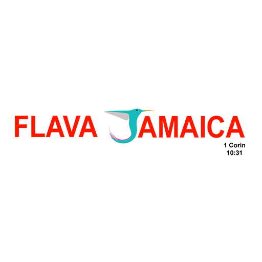 Flava Jamaica logo