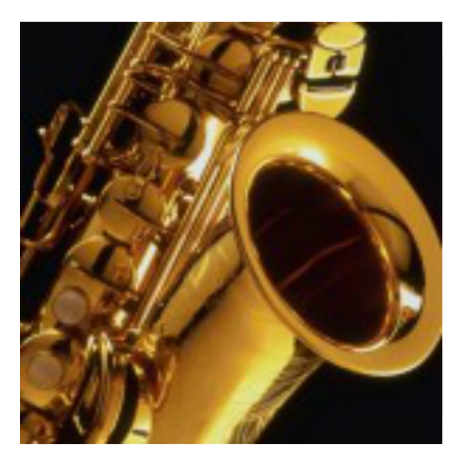 Guide to saxophone lessons  Icon