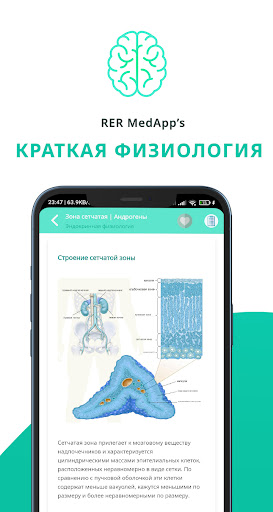 Предварительный просмотр приложения