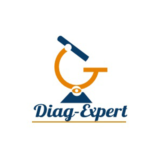 DIAG EXPERT logo