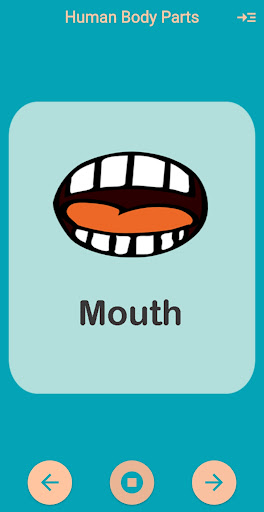 Human Body Parts Kids Learning