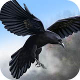 Wild Life: Flying Crow Sim icon