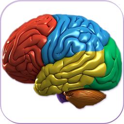 Imagen de ícono de Cerebro humano 3D +