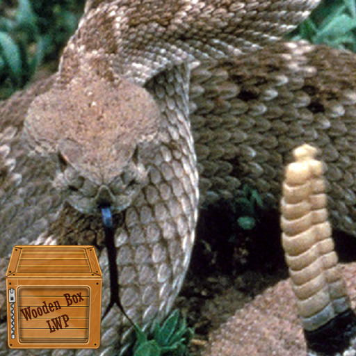 rattlesnake wallpaper logo