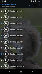 Squirrel Sounds ~ Sboard.pro For Pc – Free Download In Windows 7/8/10 And Mac Os 2