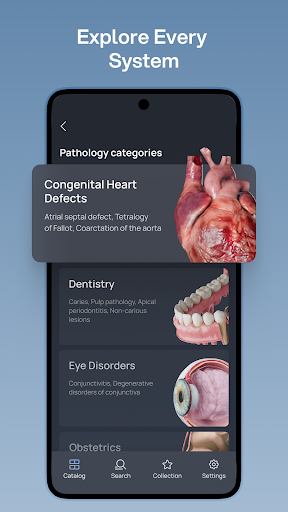 VOKA 3D Anatomy & Pathology screenshot 2