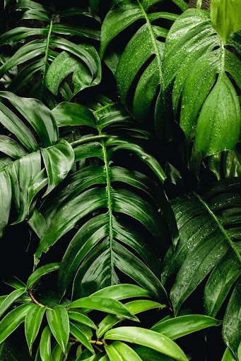 wallpaper nature 2023 Screen 2