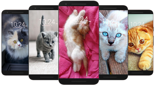 Kitten & Cute Cat Wallpaper HD  screenshots 8