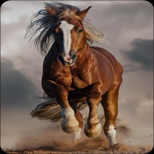 Horse Wallpaper 4K  Icon