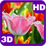 Fascinating Blossoms Tulips icon
