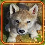 Cover Image of Download Cute Animal Babies  APK