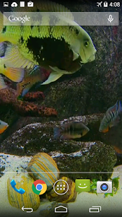 Fish Tank Live Wallpaper(圖2)-速報App