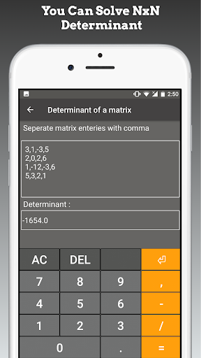Screenshot of Matrix Determinant Calculator