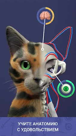 Game screenshot Idle Pet - Create cell by cell hack