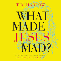 Icon image What Made Jesus Mad?: Rediscover the Blunt, Sarcastic, Passionate Savior of the Bible