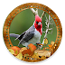 App Details Logo