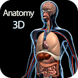 Atlas Human Anatomy icon