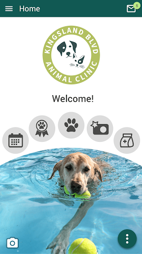 Android application Kingsland Blvd Vet screenshort