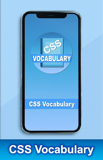 CSS Vocabulary- Pro Guide 1