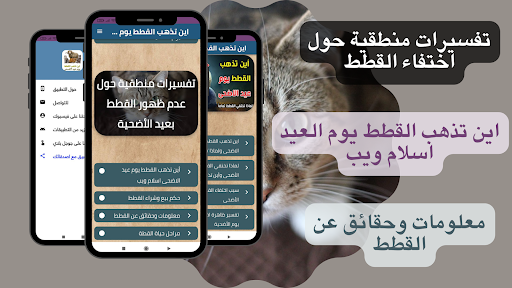 اين تذهب القطط يوم عيد الاضحى Screen 2